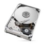 Жорсткий диск 12TB Seagate SkyHawk AI ST12000VE003 для відеоспостереження