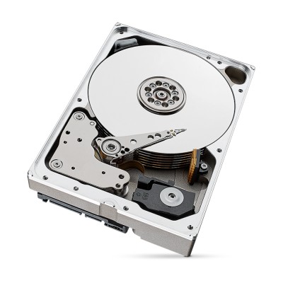 Жесткий диск 10TB Seagate SkyHawk AI ST10000VE001 для видеонаблюдения