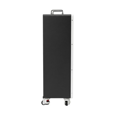 Аккумуляторная батарея литий-железо-фосфатная LiFePO4 300А*ч 51.2В 15360Вт*ч Sako Li-Sun series SK-51.2V300Ah настенный/напольный монтаж