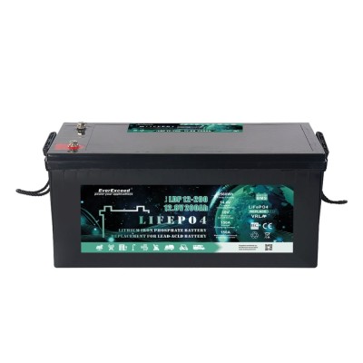 Акумуляторна батарея літій-залізо-фосфатна 12.8В 200А*год EverExceed LDP 12-200 LiFePO4